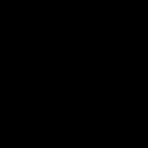 Meet your Posher, Bailey